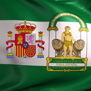 Tribunal Superior de Justicia de Andalucía, Ceuta y Melilla. 